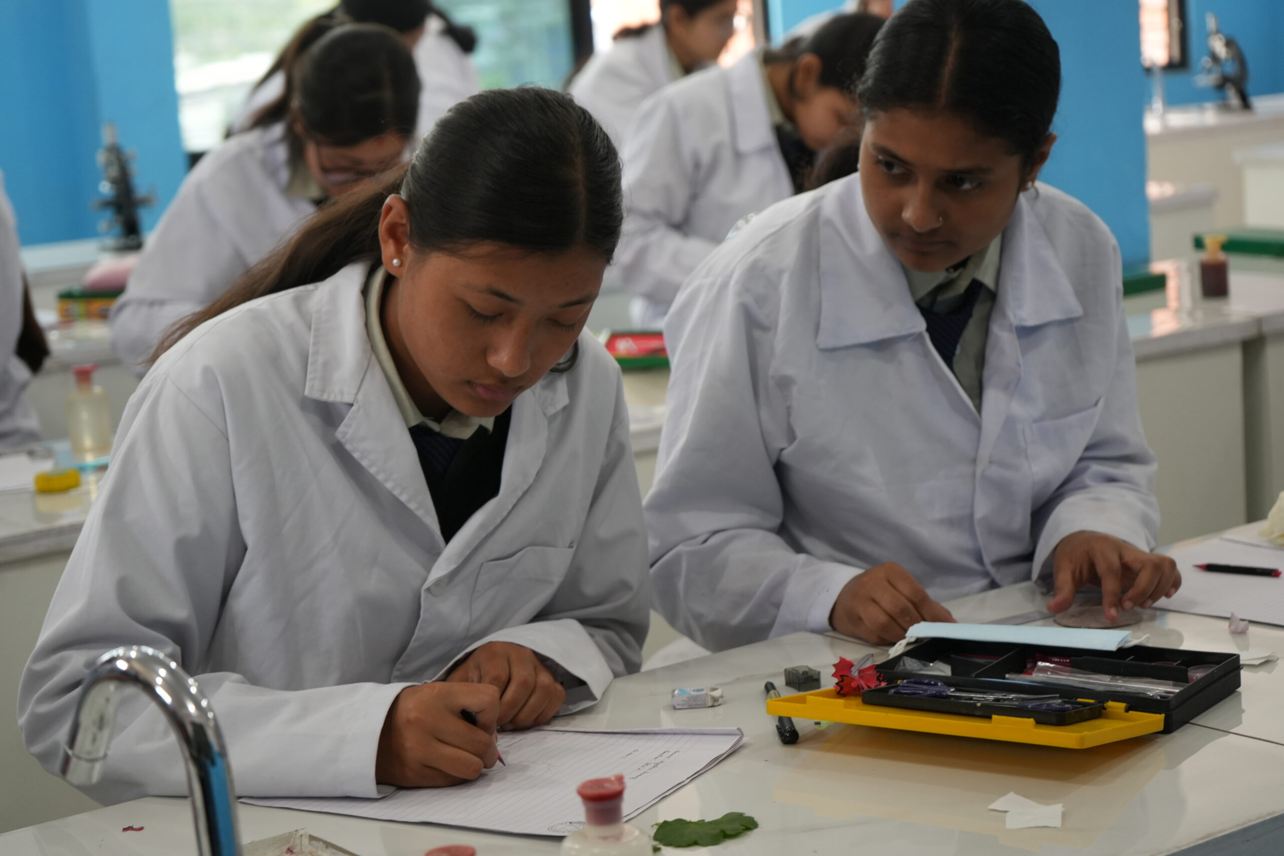 Labs